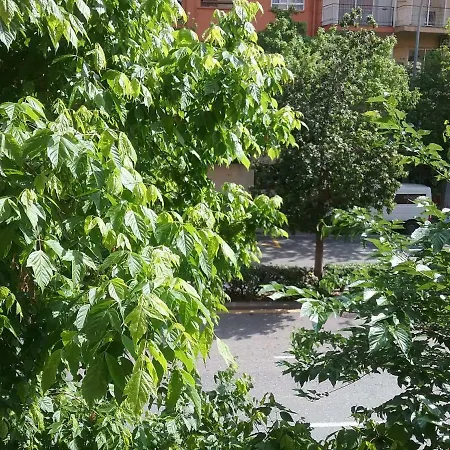 New Trendy Apartamento