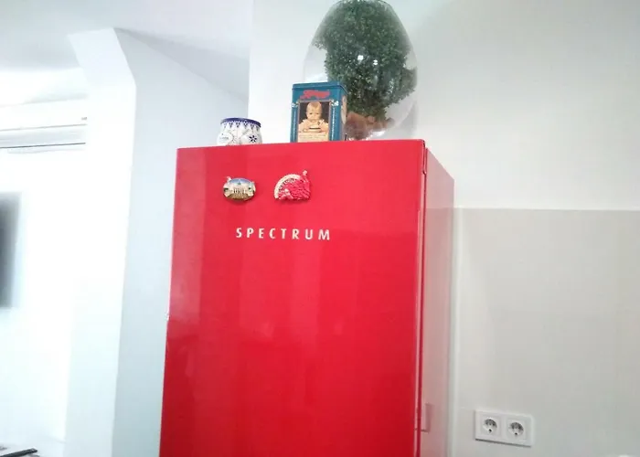 Apartment New Trendy